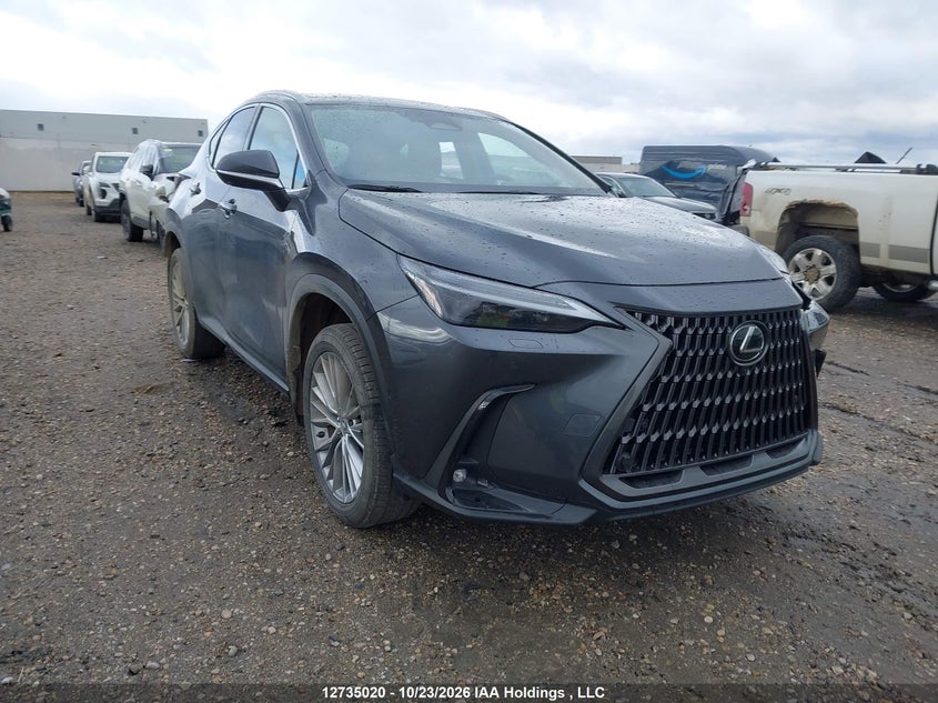 2025 LEXUS NX 350H 350H