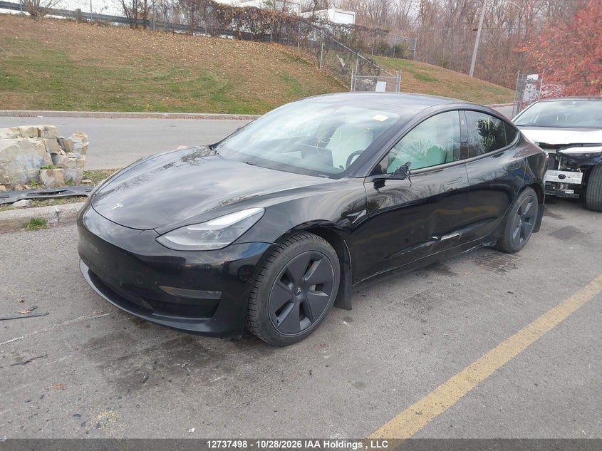 2021 Tesla Model 3 Standard Range/Standard Range Plus, Лівий бік, IAAI, VIN 5YJ3E1EA3MF920671 — фото 2