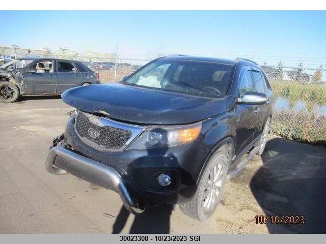 2011 Kia Sorento Lx VIN: 5XYKTDA20BG171495 Lot: 30023308