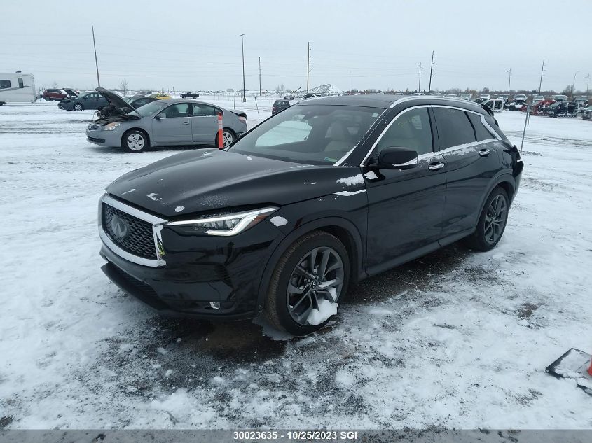 2019 Infiniti Qx50 Essential/Pure VIN: JM3TCBCY5L0404635 Lot: 30023635