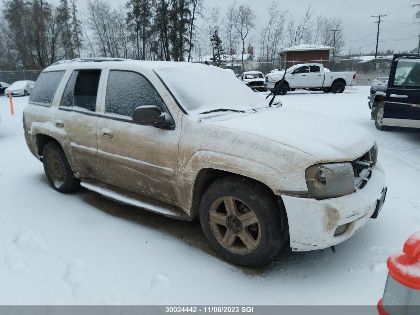 2008 Chevrolet Trailblazer Ls/Lt VIN: 1GNDT13S182216829 Lot: 30024442