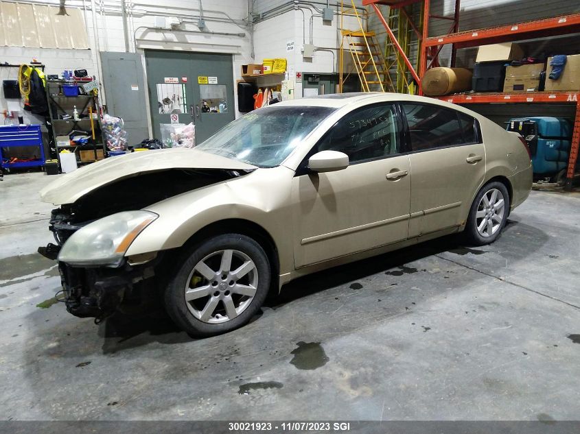 2004 Nissan Maxima Se/Sl VIN: 1N4BA41E14C853962 Lot: 30021923