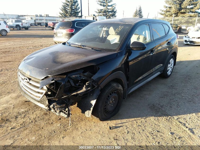 2017 Hyundai Tucson VIN: KM8J2CA44HU559505 Lot: 30023807