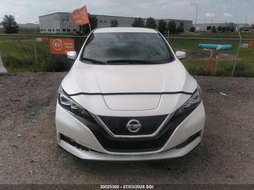 2019 Nissan Leaf S Plus/Sl Plus/Sv Plus VIN: 1N4BZ1CP5KC311623 Lot: 30025300