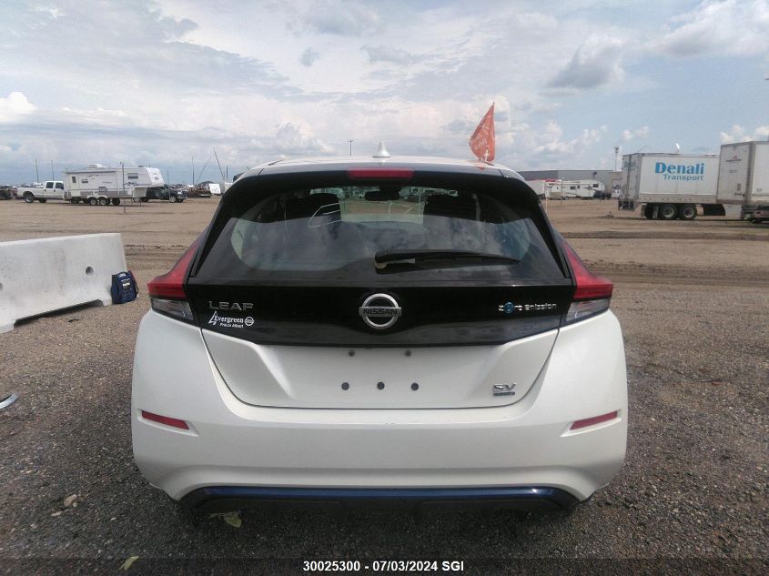 2019 Nissan Leaf S Plus/Sl Plus/Sv Plus VIN: 1N4BZ1CP5KC311623 Lot: 30025300