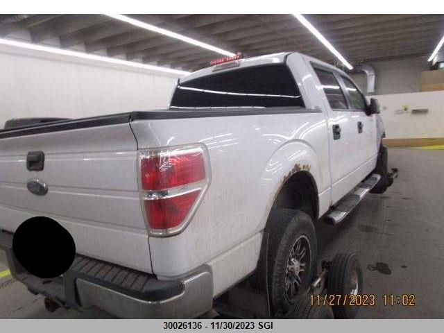 2010 Ford F150 Supercrew VIN: 1FTEW1E85AFA15892 Lot: 30026136