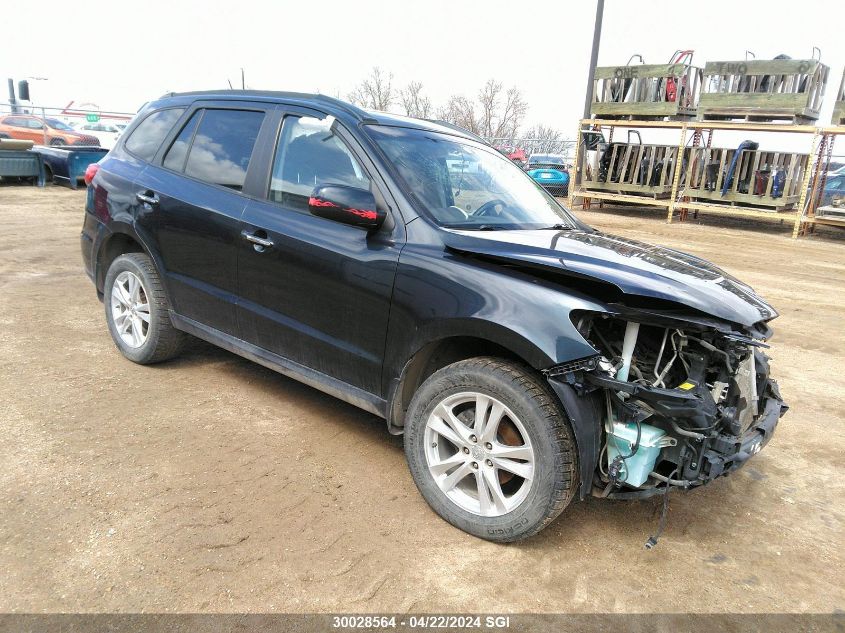 2010 Hyundai Santa Fe Se VIN: 5NMSHDAG5AH365070 Lot: 30028564