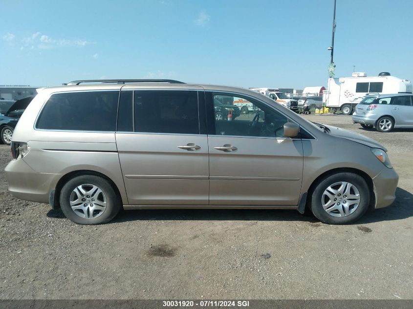 2007 Honda Odyssey Exl VIN: 5FNRL38617B501547 Lot: 30031920