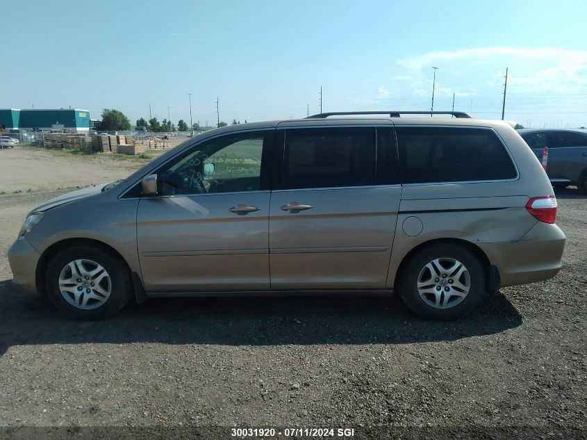 2007 Honda Odyssey Exl VIN: 5FNRL38617B501547 Lot: 30031920