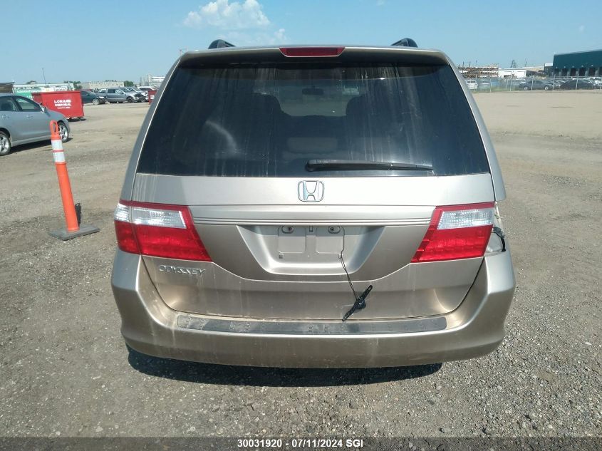 2007 Honda Odyssey Exl VIN: 5FNRL38617B501547 Lot: 30031920