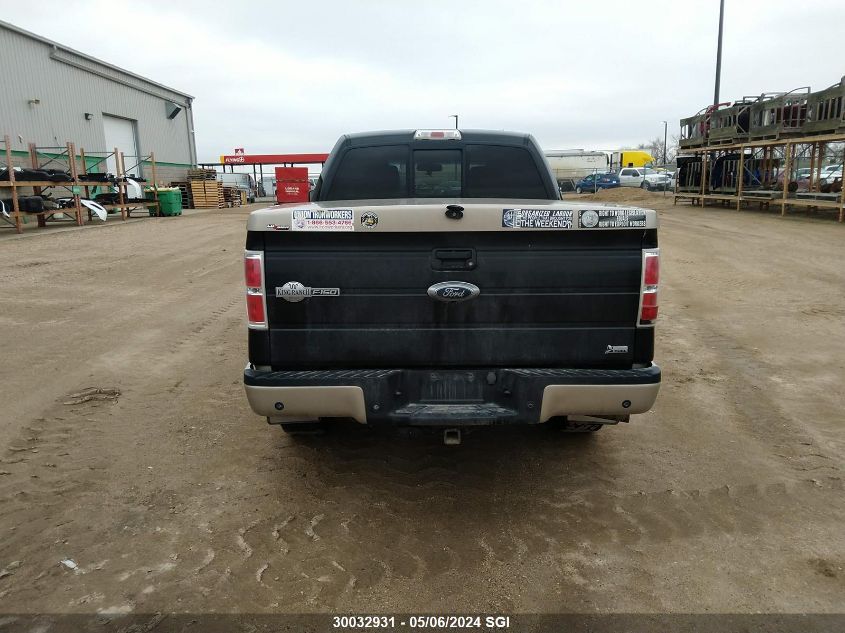 2010 Ford F150 Supercrew VIN: 1FTFW1EV8AKE06388 Lot: 30032931