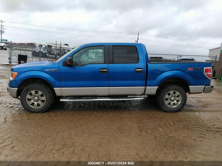 2010 Ford F150 Supercrew VIN: 1FTFW1EV7AFC18387 Lot: 30034871