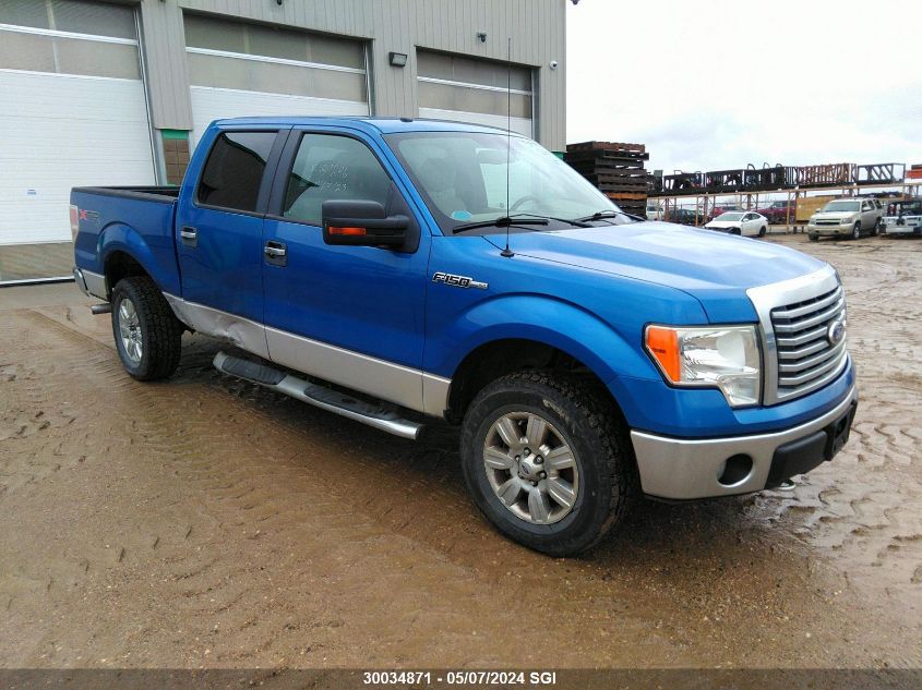 2010 Ford F150 Supercrew VIN: 1FTFW1EV7AFC18387 Lot: 30034871