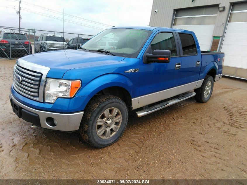 2010 Ford F150 Supercrew VIN: 1FTFW1EV7AFC18387 Lot: 30034871