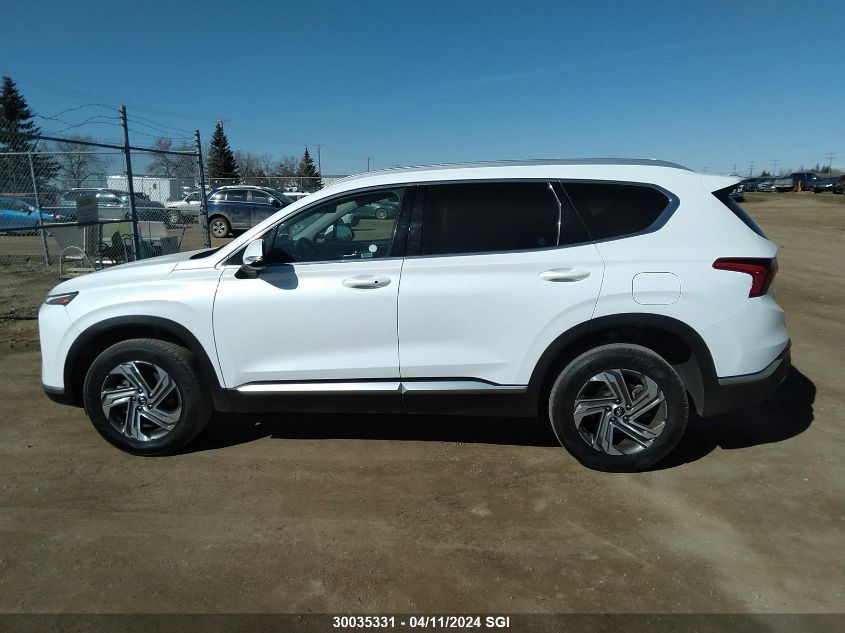 2021 Hyundai Santa Fe Sel VIN: 5NMS3DAJ5MH357064 Lot: 30035331