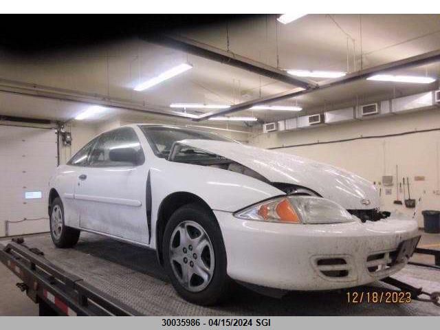 2001 Chevrolet Cavalier VIN: 1G1JC124X17370892 Lot: 30035986