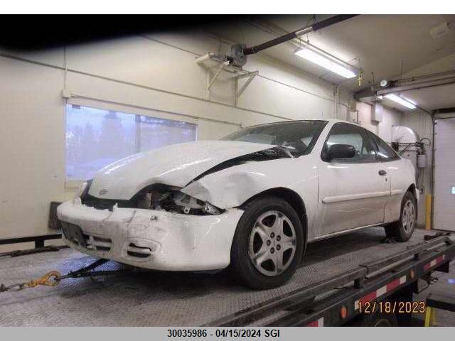 2001 Chevrolet Cavalier VIN: 1G1JC124X17370892 Lot: 30035986