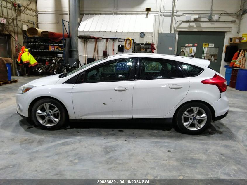 2013 Ford Focus Se VIN: 1FADP3K21DL356447 Lot: 51091224