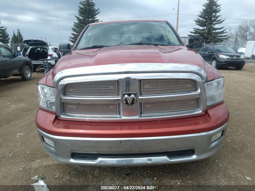 2009 Dodge Ram 1500 VIN: 1D3HV13T39S730736 Lot: 39240959