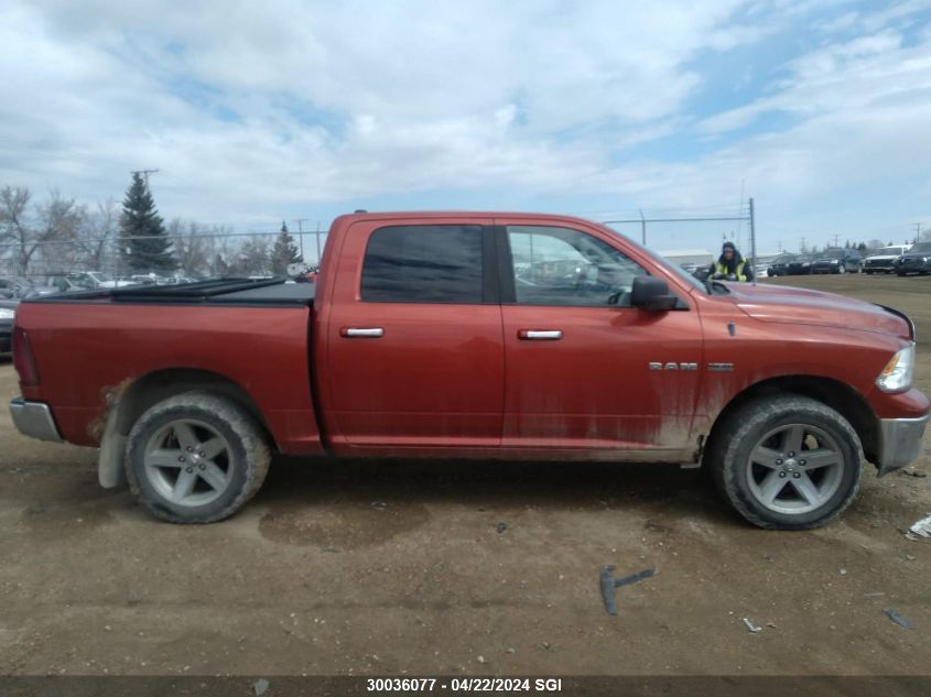 2009 Dodge Ram 1500 VIN: 1D3HV13T39S730736 Lot: 39240959