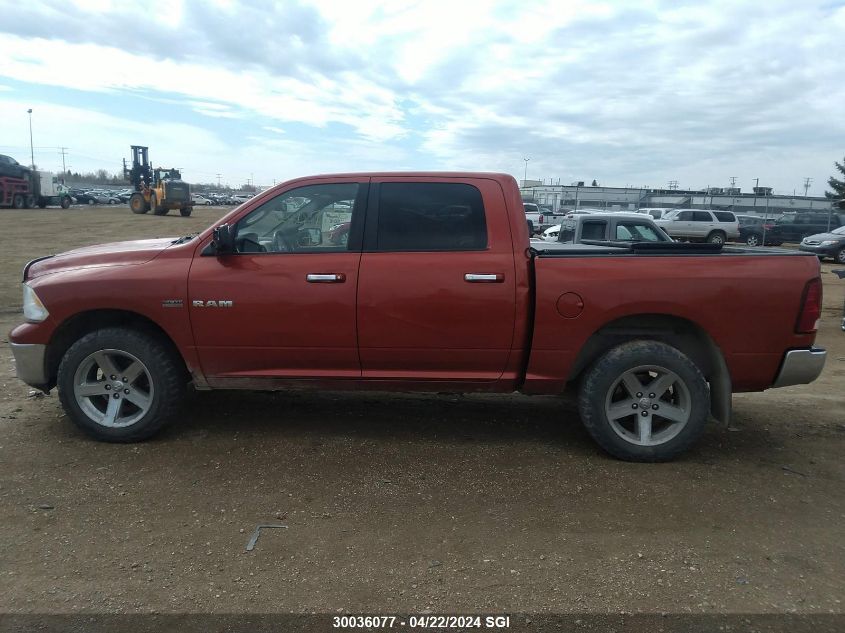 2009 Dodge Ram 1500 VIN: 1D3HV13T39S730736 Lot: 39240959