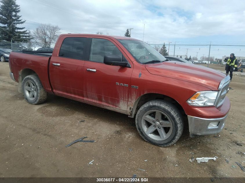 2009 Dodge Ram 1500 VIN: 1D3HV13T39S730736 Lot: 39240959