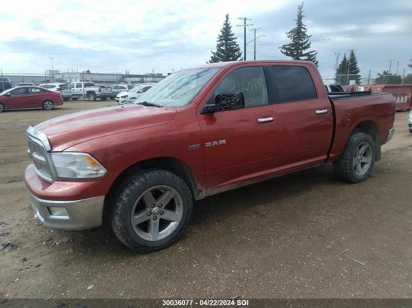 2009 Dodge Ram 1500 VIN: 1D3HV13T39S730736 Lot: 39240959