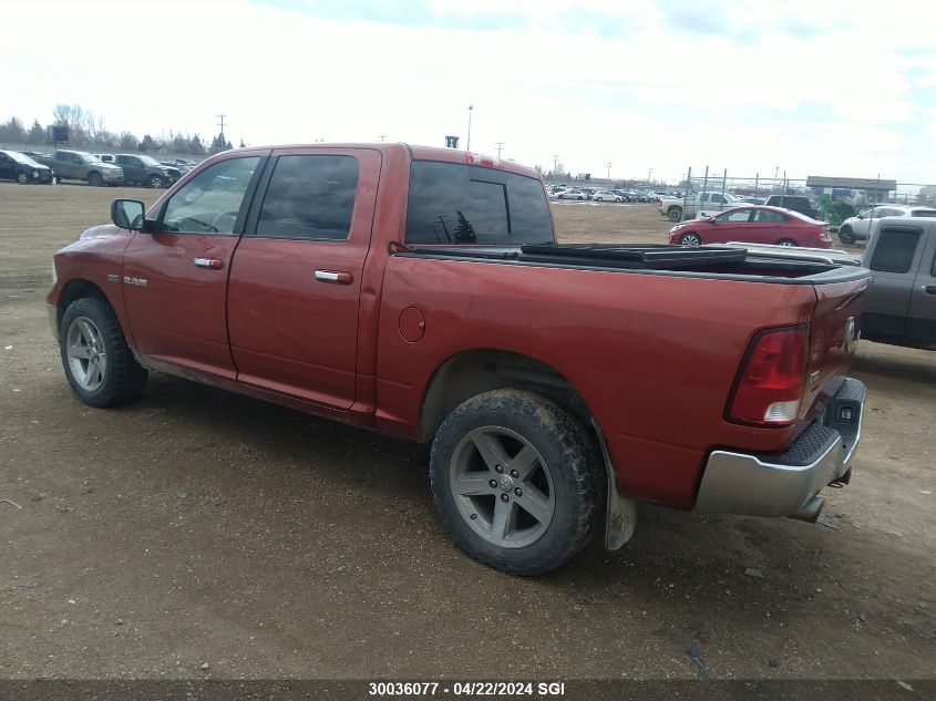 2009 Dodge Ram 1500 VIN: 1D3HV13T39S730736 Lot: 39240959