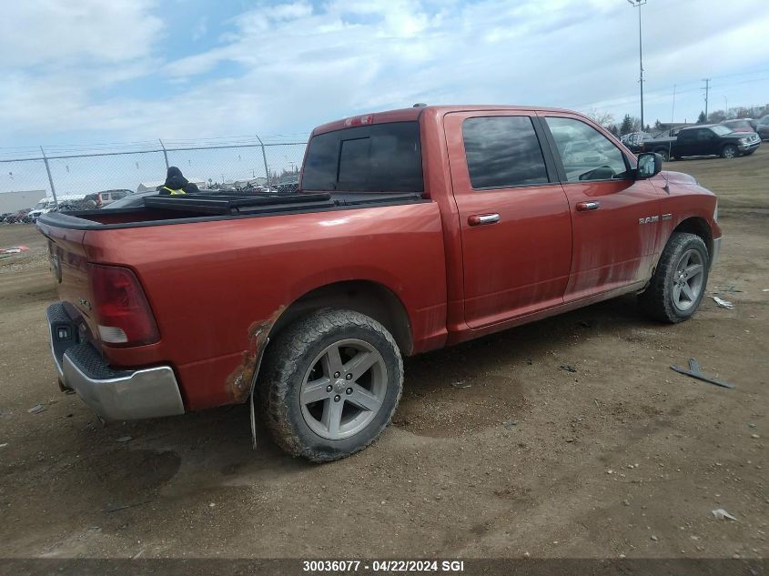 2009 Dodge Ram 1500 VIN: 1D3HV13T39S730736 Lot: 39240959