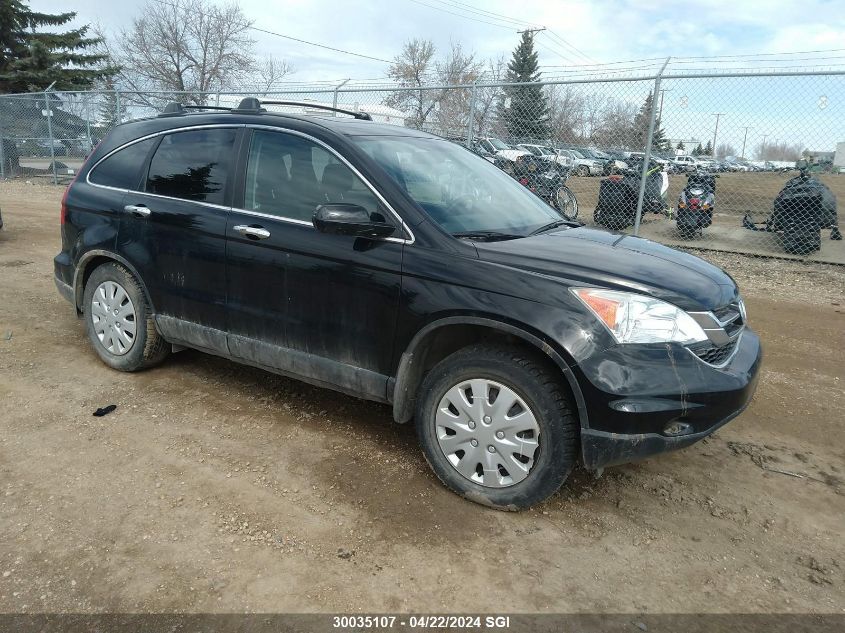 2010 Honda Cr-V VIN: 5J6RE4H74AL809285 Lot: 50105424