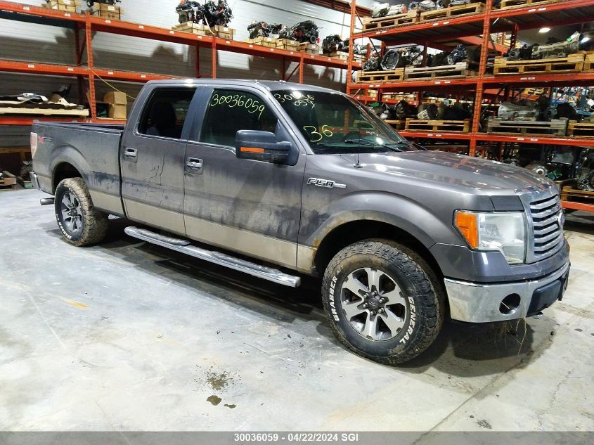 2011 Ford F150 Supercrew VIN: 1FTFW1EF0BFC79915 Lot: 39240594