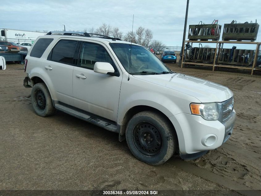 2010 Ford Escape Limited VIN: 1FMCU9EG6AKC12012 Lot: 30036368