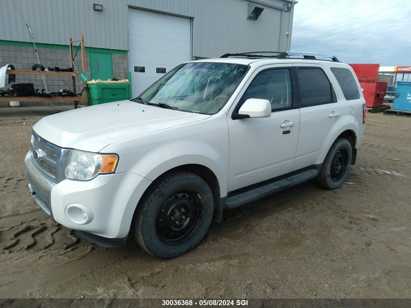 2010 Ford Escape Limited VIN: 1FMCU9EG6AKC12012 Lot: 30036368