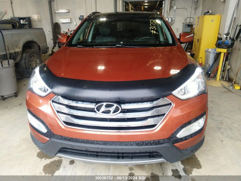 2014 Hyundai Santa Fe Sport VIN: 5XYZUDLA6EG171473 Lot: 30036752