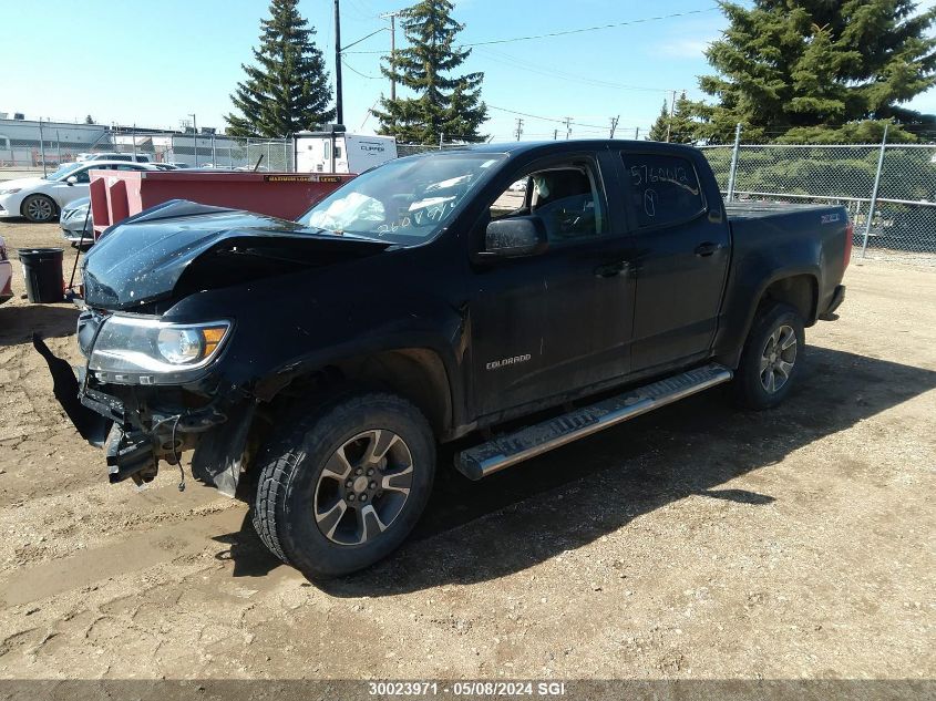 2015 Chevrolet Colorado Z71 VIN: 1GCGTCE3XF1260791 Lot: 30023971