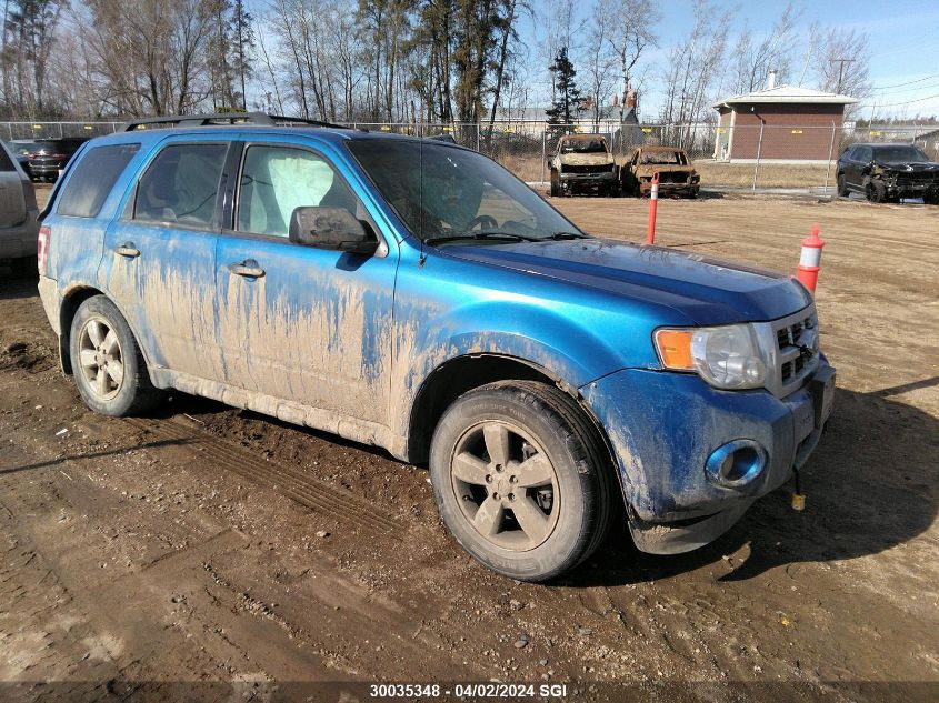 2011 Ford Escape Xlt VIN: 1FMCU9DG4BKC00668 Lot: 30035348