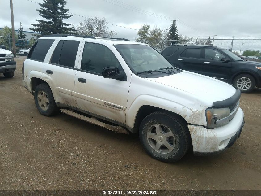 2003 Chevrolet Trailblazer VIN: 1GNDT13S132130784 Lot: 30037301