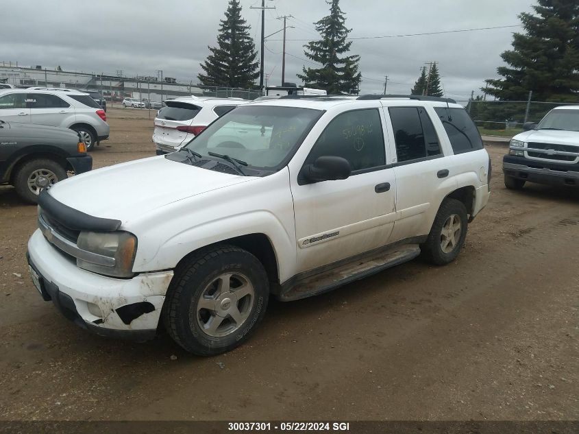 2003 Chevrolet Trailblazer VIN: 1GNDT13S132130784 Lot: 30037301