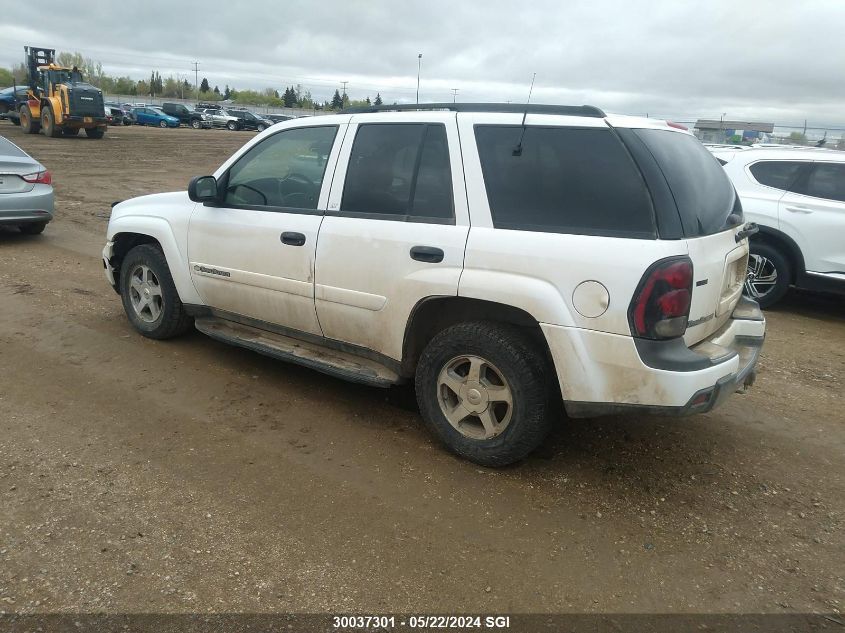 2003 Chevrolet Trailblazer VIN: 1GNDT13S132130784 Lot: 30037301