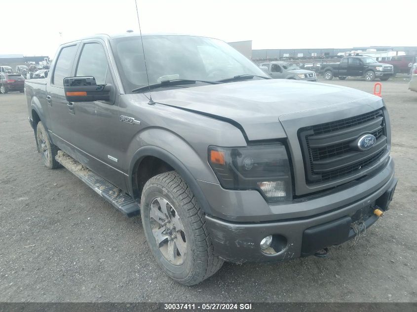 2013 Ford F150 Supercrew VIN: 1FTFW1ET7DFB62521 Lot: 30037411