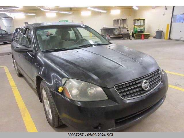 2006 Nissan Altima S/Sl VIN: 1N4AL11E96C175226 Lot: 30037257