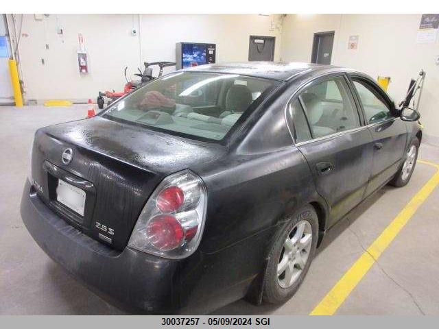 2006 Nissan Altima S/Sl VIN: 1N4AL11E96C175226 Lot: 30037257