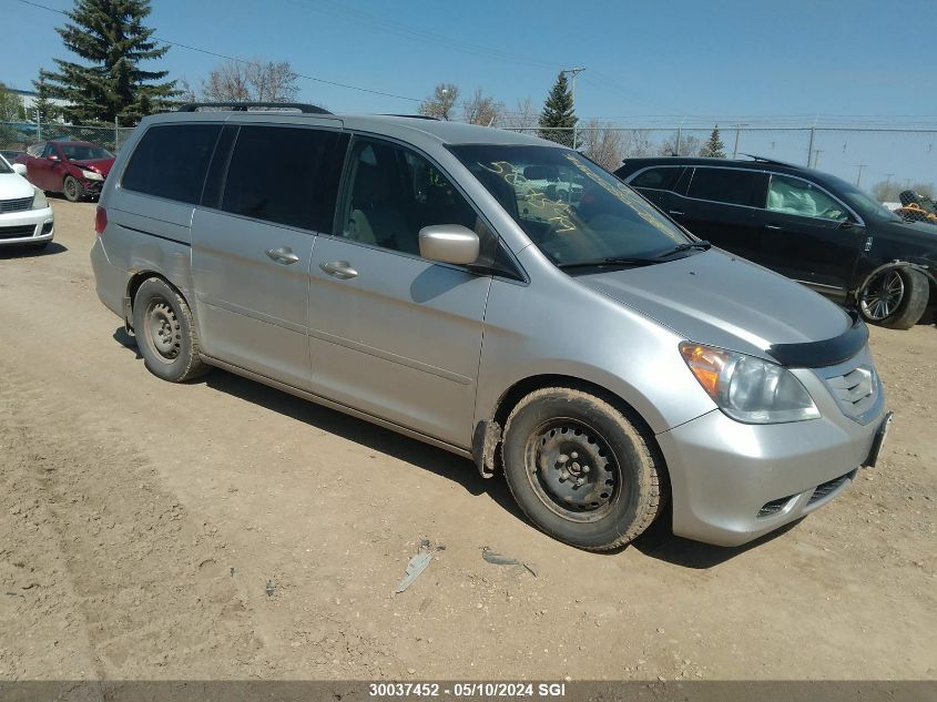 2009 Honda Odyssey Ex VIN: 5FNRL38419B504899 Lot: 30037452