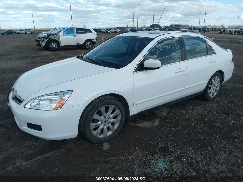 2007 Honda Accord Lx VIN: 1HGCM66357A800479 Lot: 30037594