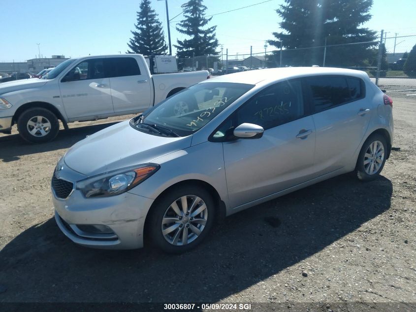 2016 Kia Forte Lx VIN: KNAFK5A86G5449392 Lot: 30036807