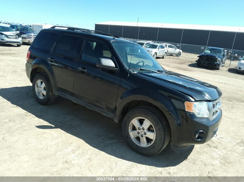 2011 Ford Escape Xlt VIN: 1FMCU0D70BKA63627 Lot: 30037504