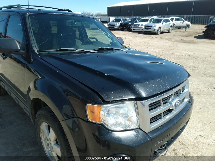 2011 Ford Escape Xlt VIN: 1FMCU0D70BKA63627 Lot: 30037504