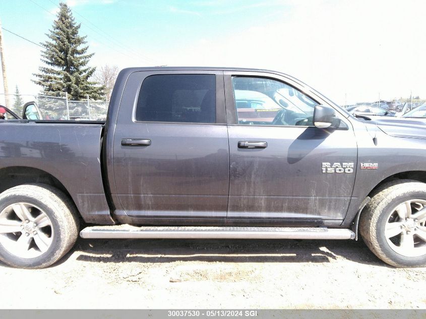 2015 Ram 1500 Sport VIN: 1C6RR7MT7FS596349 Lot: 30037530