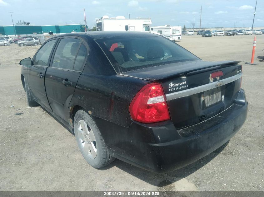 2007 Chevrolet Malibu Lt VIN: 1G1ZT58N77F280754 Lot: 30037739