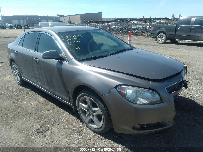 2010 Chevrolet Malibu 1Lt VIN: 1G1ZC5E03A4147503 Lot: 30037742